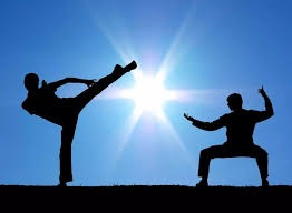 2025 年：MLB 官方正式在全联盟球场安装高精度的球体扫描雷达