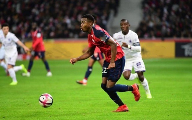 汉姆期间都 汉姆期间都