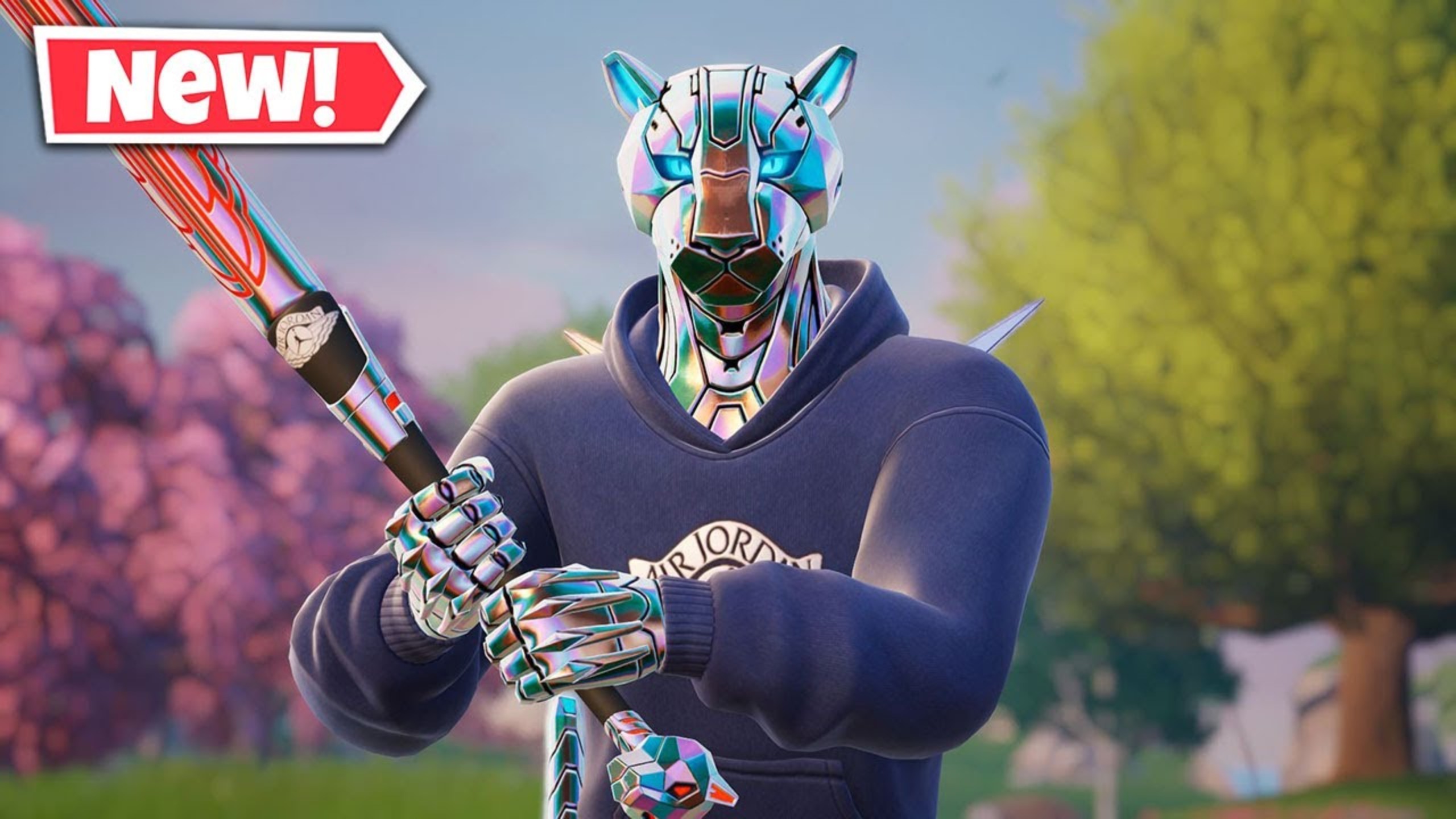 运动发展的 运动发展的