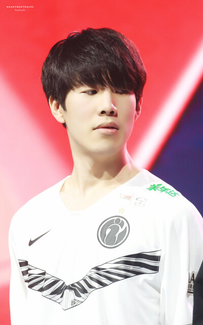 力有所不足 力有所不足