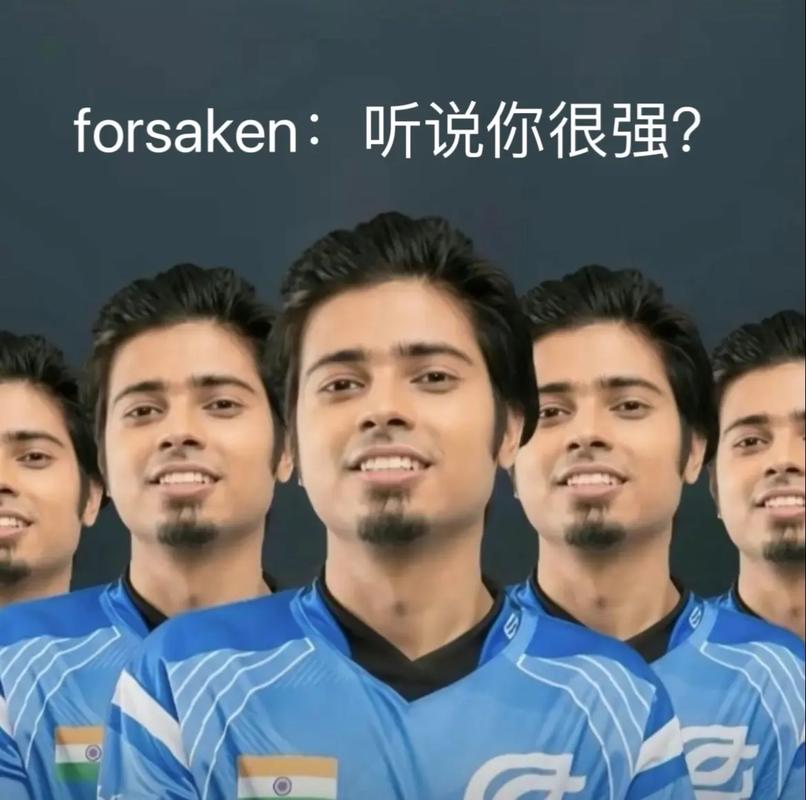 媒体与粉丝